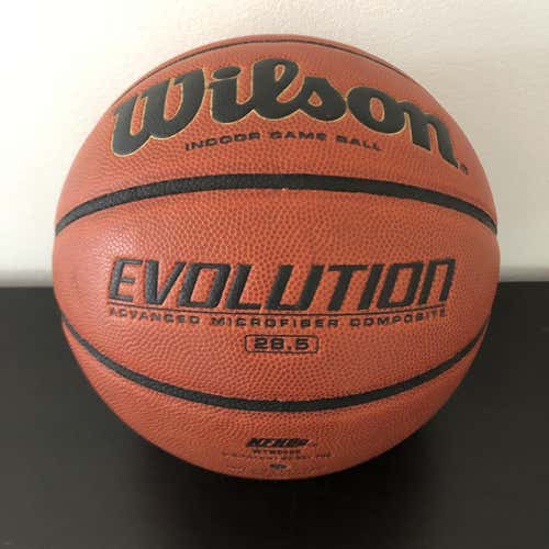 Wilson Evolution Basketball