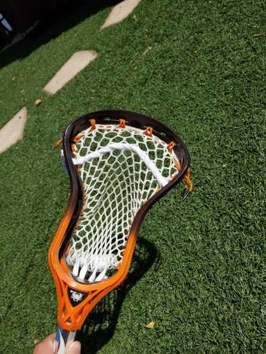 ECD Rebel O, STX Stallion Shaft