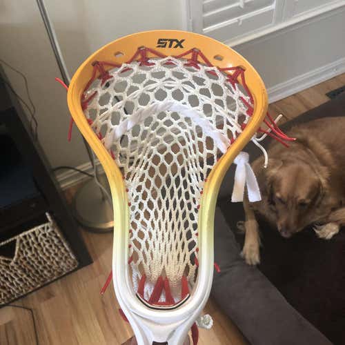 STX Stallion HS