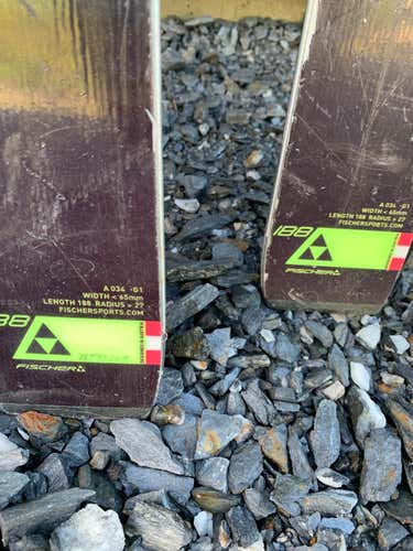 Fischer RC4 World Cup GS Skis