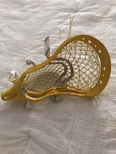 New Warrior Evolyte X Head