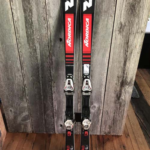 Dobermann SL WC Skis