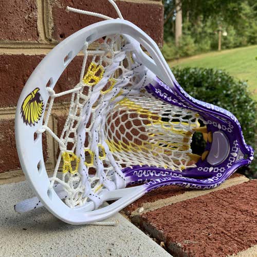 New Lakota 2 Head Iroquois