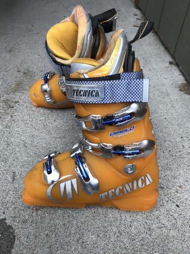 Tecnica Ski Boots