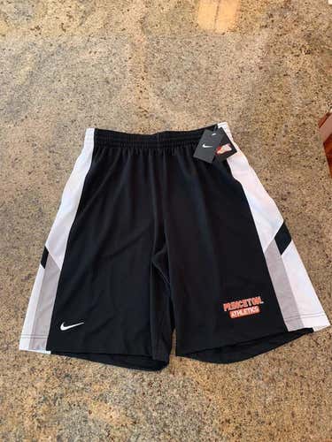 New Princeton Nike Shorts (Large)