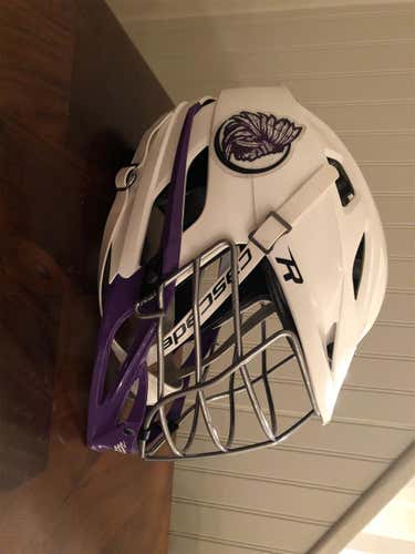 R Helmet Adult