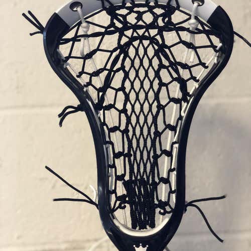 New Dynasty Elite Head