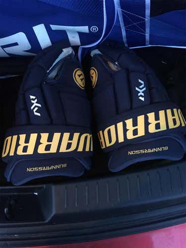 AX1 pro Gloves Senior Pro Stock