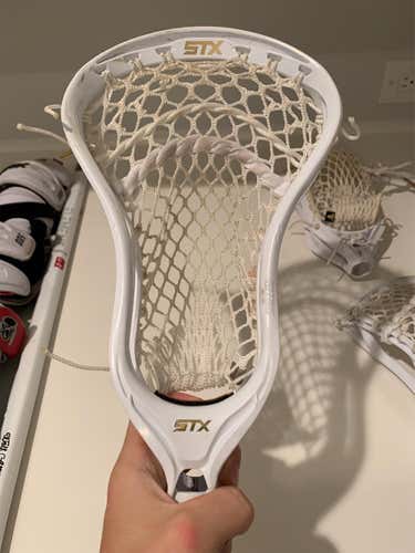 New Stallion 700 Head