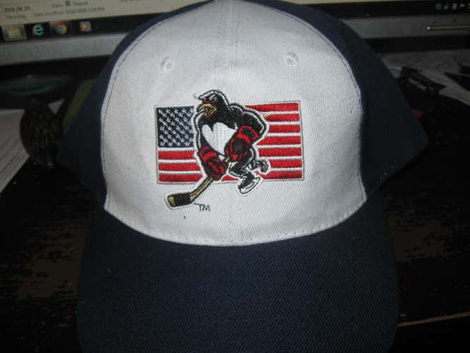 WILKES BARRE PENGUINS AHL MINOR LEAGUE TEAM HAT EMBRIODED!