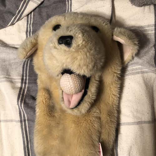 Dog Head Cover