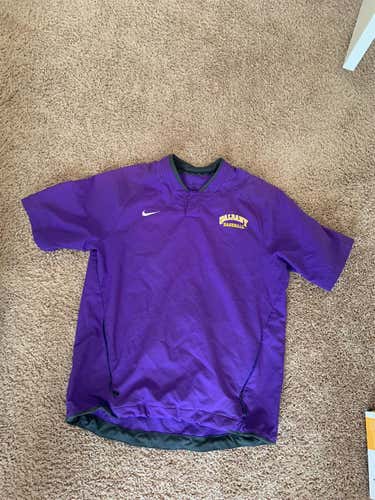 Nike UAlbany BP Top