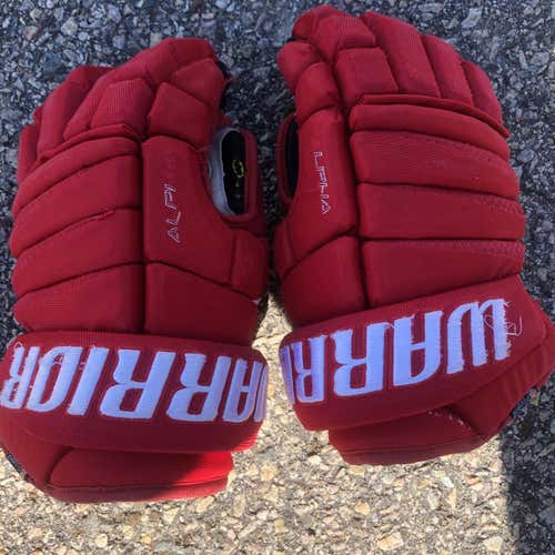 Warrior Gloves Senior