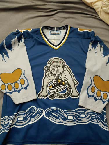 Long Beach Ice Dogs jersey