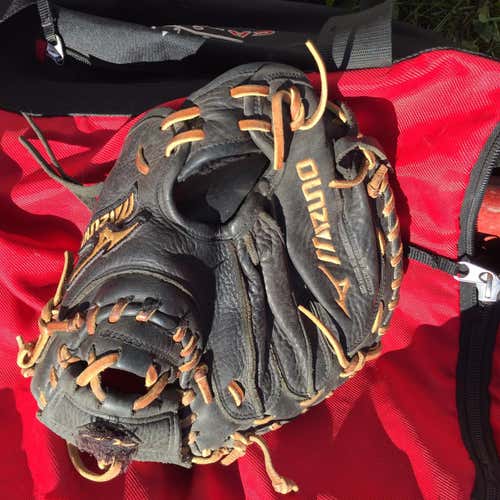 Mizuno Catcher's Glove Adult