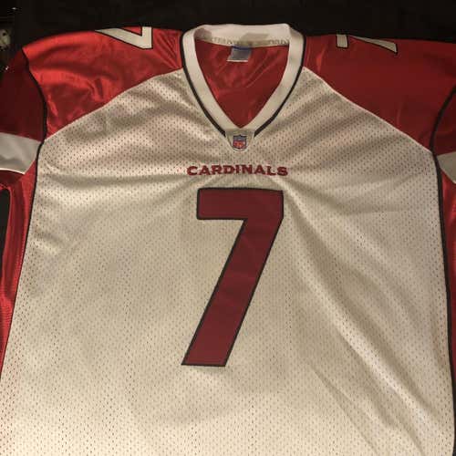 Matt Leinart Cardinals Jersey
