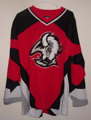 Buffalo Sabres Vintage Hockey Jersey (Starter) (Adult-Large)