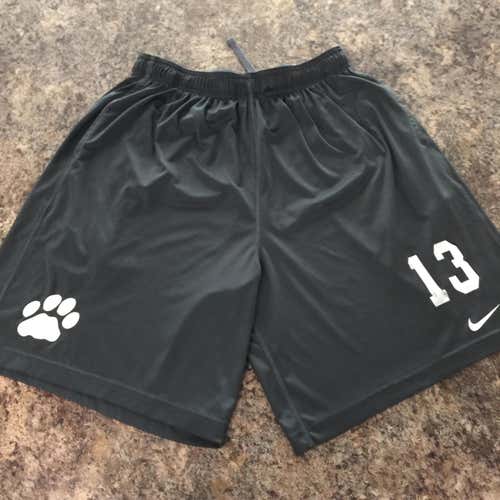 Nike Dri-Fit Shorts #13 Large
