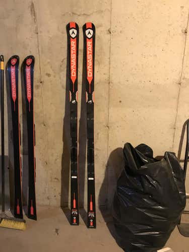 Dynastar Speed WC FIS GS Skis