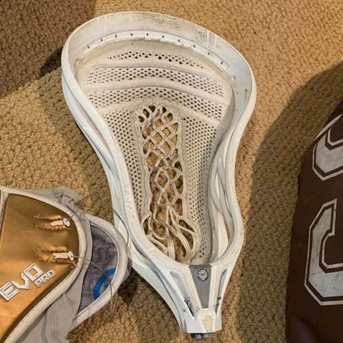 Warrior Evo Warp Pro Head