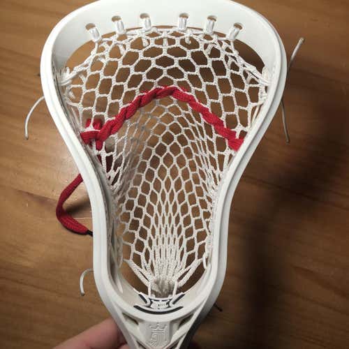 Triumph X + GOAT mesh