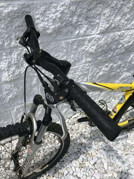 electric sport bicycle Bluejay Sport