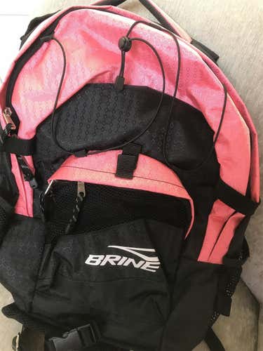 New Brine Bag