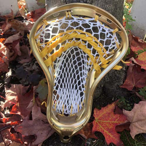 New Stallion 700 Head