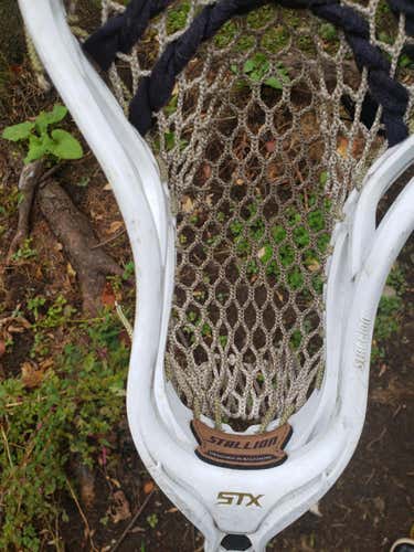 STX Stallion Head