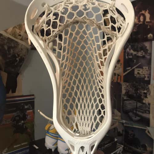 New No Noz Head
