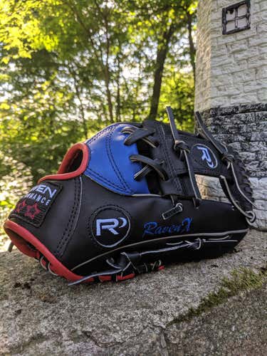 Brand New Custom Raven Performance 100% Euro KIP baseball glove rht I web i-web