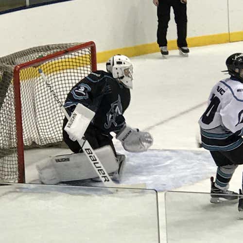 SLR Pro Regular Senior Leg Pads Glove And Blocker