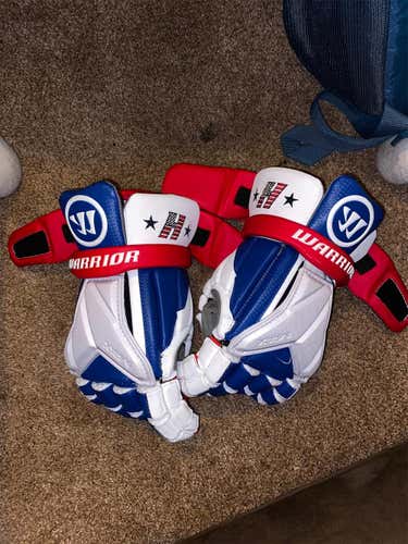 Hofstra Team Issued USA Evo Pro ‘19