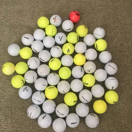 60 Used Wilson Golf Balls