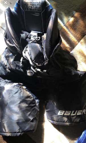 Large Bauer Nexus Hockey Pants Senior