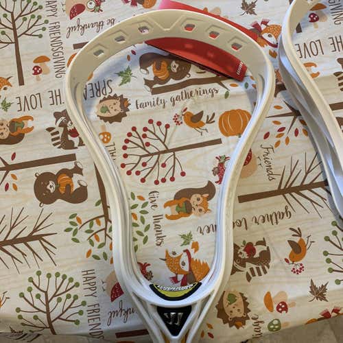 New Defense Regulator Max Head