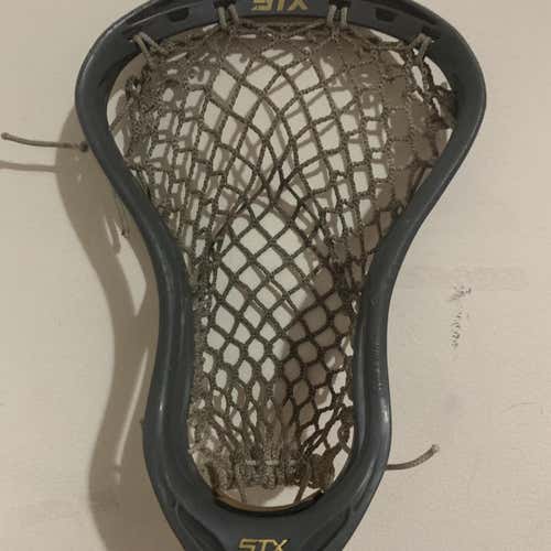 Attack & Midfield Stallion Head