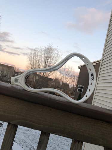 Stx Stallion Head