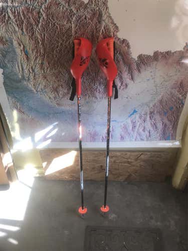 42 Inch Kerma SL Pokes With Guards