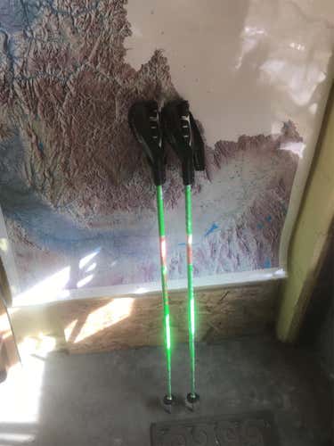 46 Inch Scott SL Ski Poles With Guards