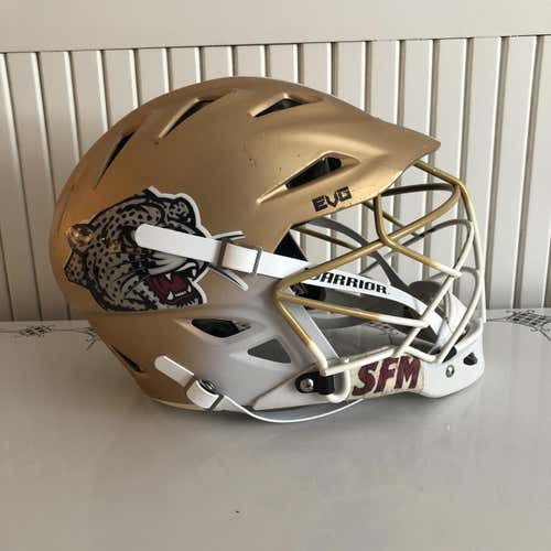 Gold Warrior Evo Helmet L/XL