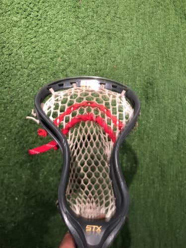 Gray  Attack & Midfield Stallion 700 Head