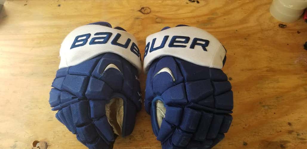 Blue Bauer APX Pro Gloves 14 in.