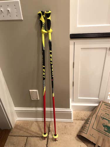Leki Slalom Trigger Ski Poles