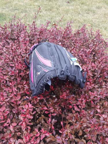 Black New Mizuno Right Handed Infield Finch Softball Glove 11"