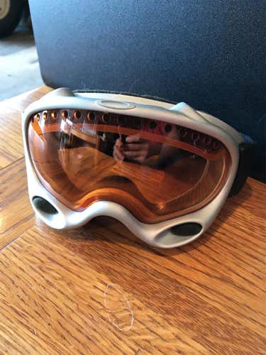 Silver Unisex Oakley Ski Goggles Medium