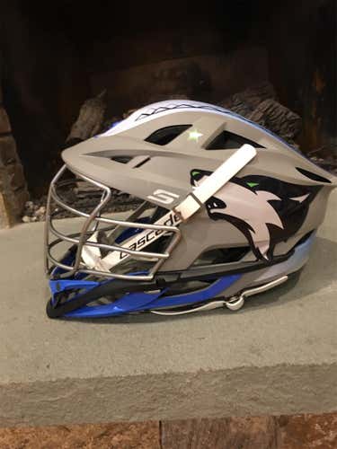 Gray Adult Player S Helmet