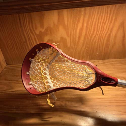 Evo X with ECD Striker Mesh