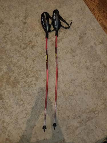 110 Swix Racing poles with Artechski Closed Knuckle Guard