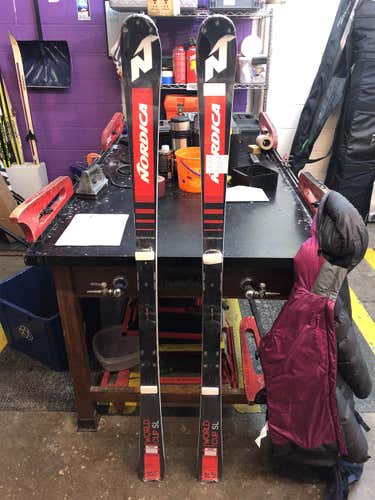 Men's 2020 Dobermann SL WC Skis